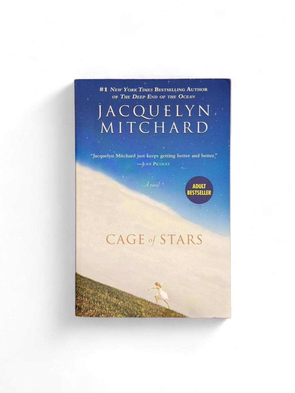 Cage of Stars by Jacquelyn Mitchard (Paperback)